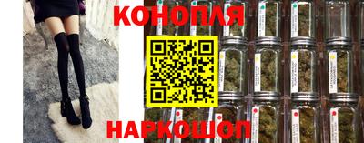 сатива Кандалакша