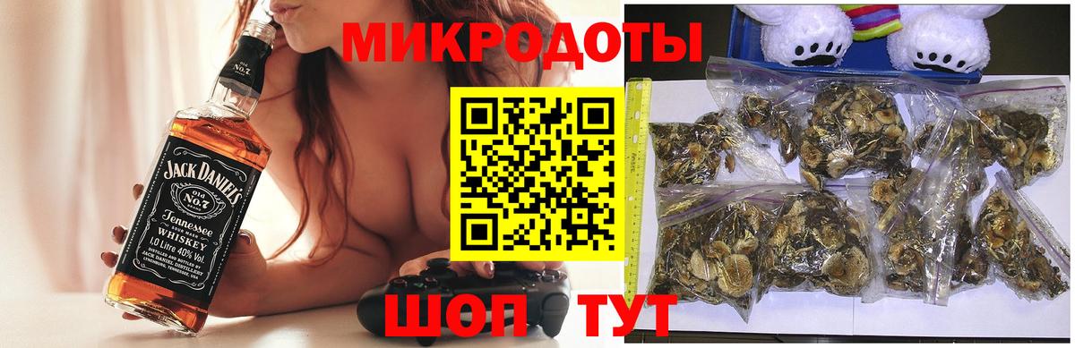 Псилоцибиновые грибы Psilocybine cubensis  Вход с VPN  Новокуйбышевск  Галлюциногенные грибы Cubensis 